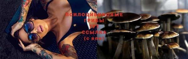 jwh Козельск