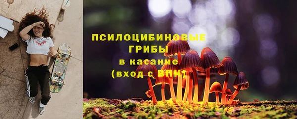 прущий лед Кодинск