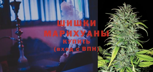 прущий лед Кодинск