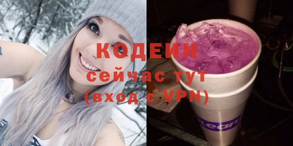 прущий лед Кодинск