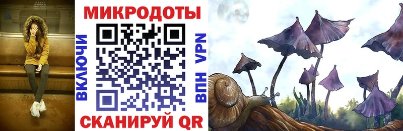 Псилоцибиновые грибы Psilocybe  Купить  Кострома 